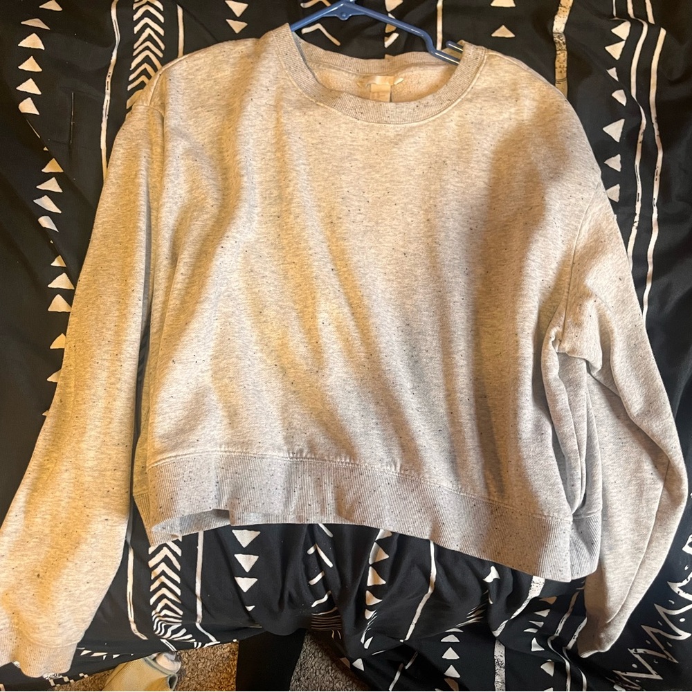 Gray Cropped Sweatshirt